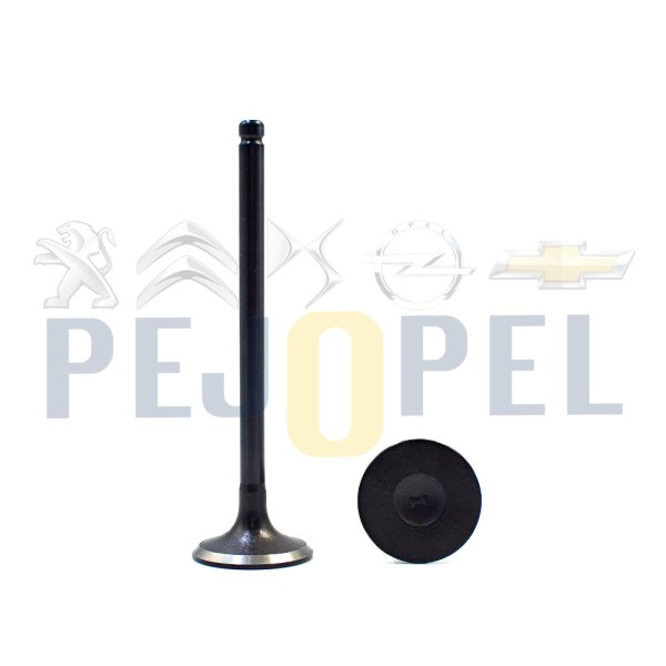 REZZO 04-08 1.6 SUPAP TAKIMI