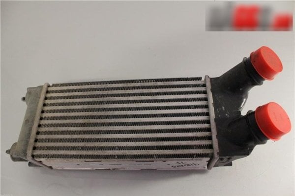 CİTROEN BERLİNGO DV6 1.6 HDİ TURBO RADYATÖRÜ ( 0384L9 )