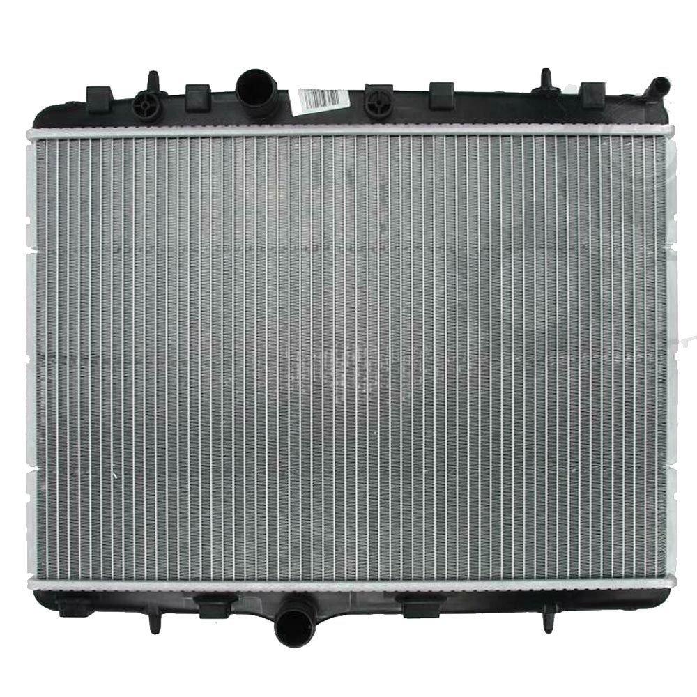 MOTOR RADYATORU P301-P2008-P207-C2-C3