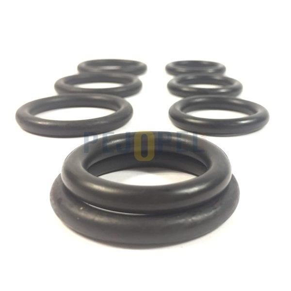 EMME MANİFOLD ORİNGİ(ADET) C.MAX FOCUS DW6 206 307