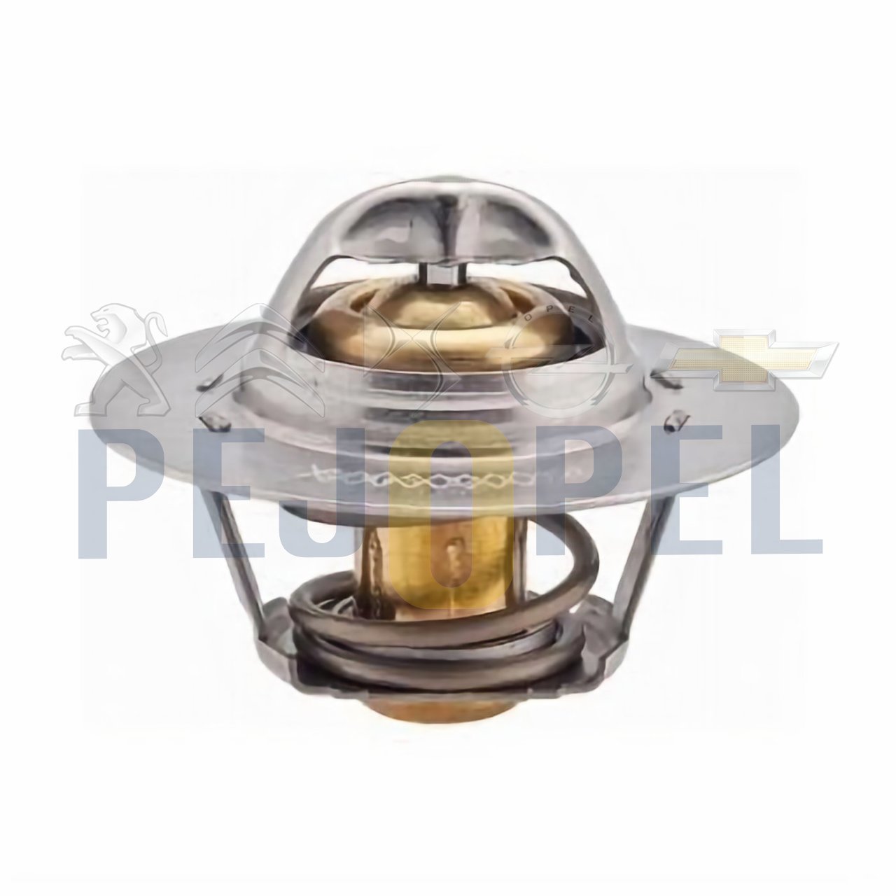 106 /306/XSARA 04-09 1.6 TU5JP TERMOSTAT