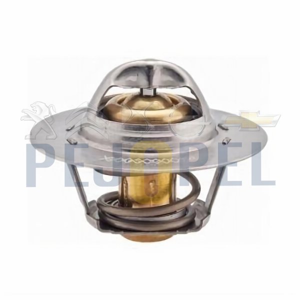 106 /306/XSARA 04-09 1.6 TU5JP TERMOSTAT