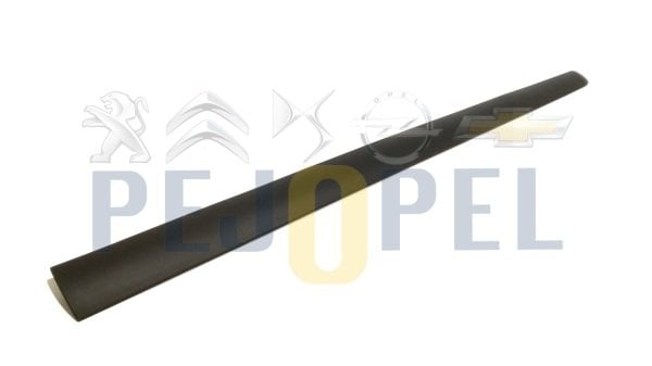 PEUGEOT 307 KAPI BANDI ÖN SAĞ