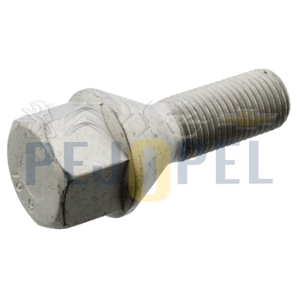 106/C3/SAXO 91 B.M BİJON