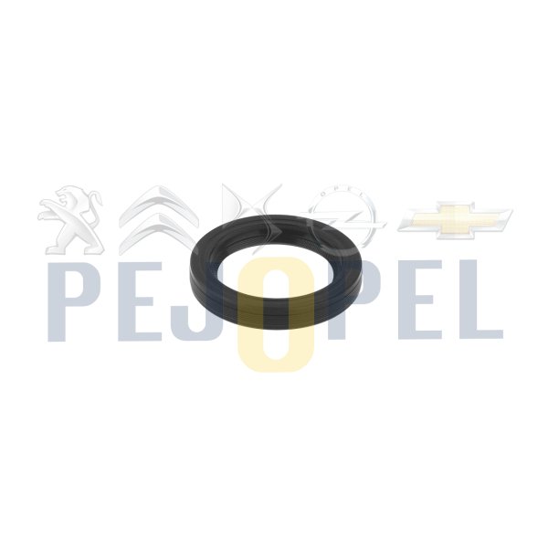 C3 04-06 1.4 ET3J4 EKSANTRİK MİL CONTA