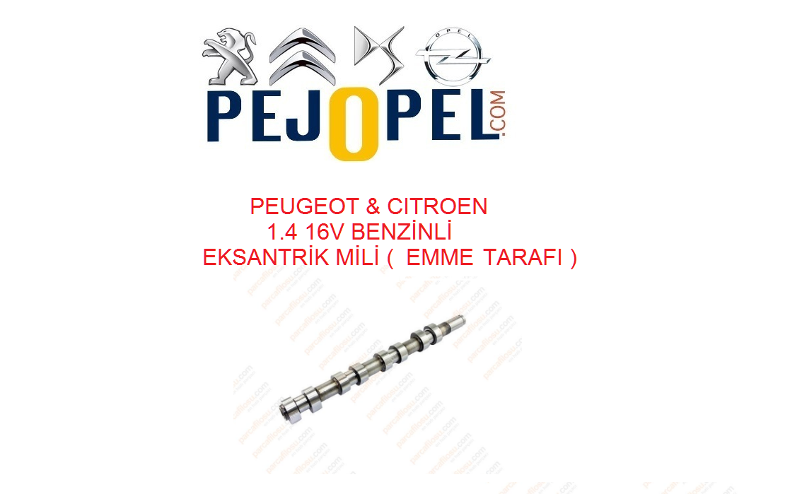 PEUGEOT & CITROEN 206 / 207 / 307 / C3 / C4 EKSANTRİK KAM MİLİ ( EMME TARAFI )