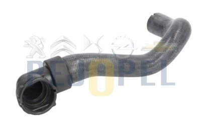 CORSA D 07- A12XER A12XEL A14XER A14XEL RADYATÖR HORTUMU ALT