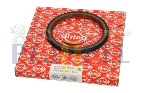 GRANK ARKA KEÇE  BOXER-JUMPER  DJ5/TED