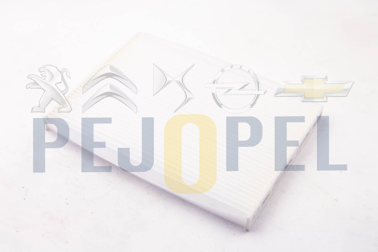 301/C-ELYSEE 2012- B.M POLEN FİLTRESİ