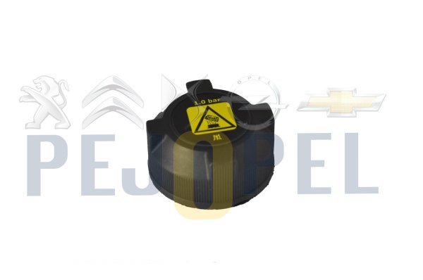 RADYATÖR KAPAĞI BOXER JUMPER DUCATO (8339847)