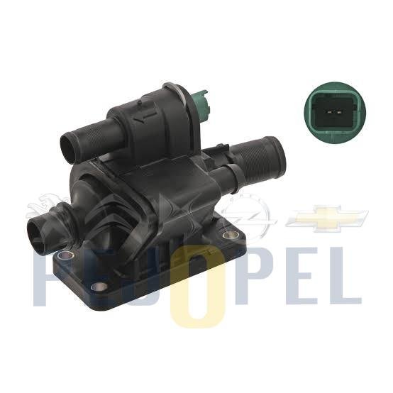 TERMOSTAT KOMPLE MUSURLU P107-P207-P307-P206-P1007-NEMO-BIPPER