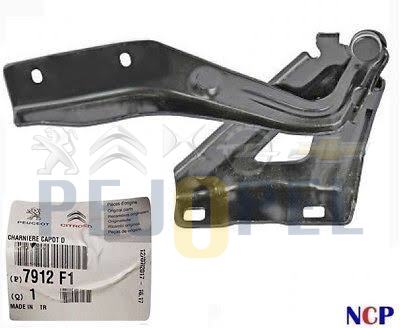 MOTOR KAPUT MENTEŞESİ R  NEMO FİORİNO BİPPER