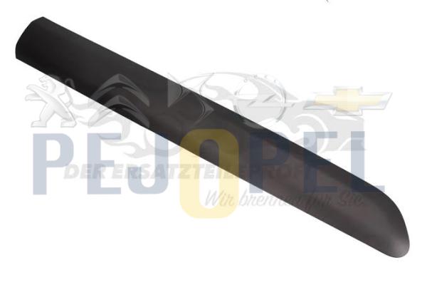 PEUGEOT & CITROEN PARTNER TEPEE / BERLİNGO ÖN SAĞ KAPI BANDI 2008-->