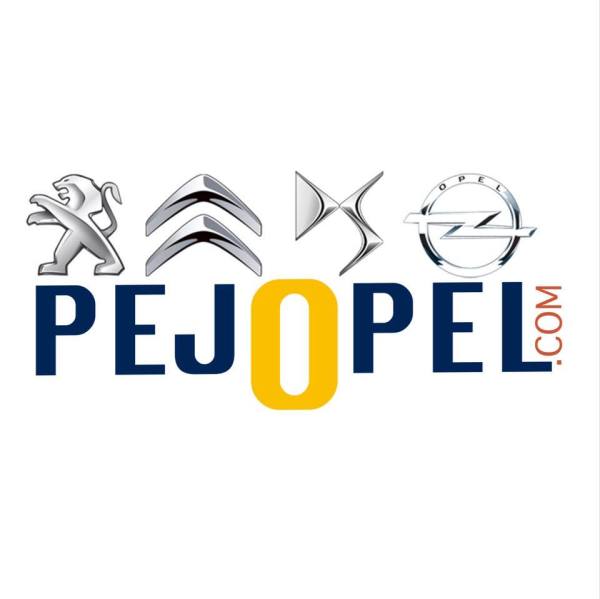 Peugeot 301 - Citroen C-Elysee Spor Tip Vites Topuzu - Siyah Parlak