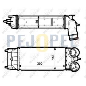 508 / C5 (X7) 2012- 1.6 HDİ TURBO RADYATÖRÜ