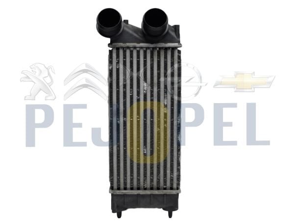 PARTNER TEPEE / 3008/5008/308/C4 09- 1.6 HDİ DV6C TURBO RADYATÖRÜ