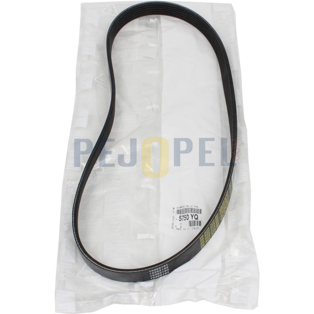 ALTERNATÖR KAYIŞ  C3 - C4 - PARTNER TEPEE DV4-DV6 (6PK976)