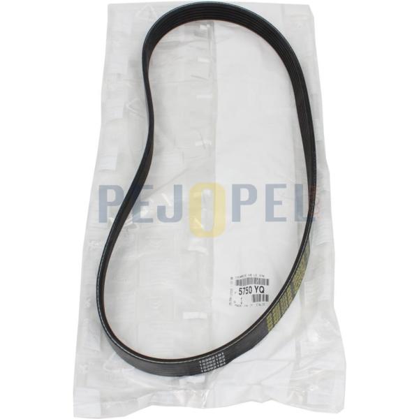 ALTERNATÖR KAYIŞ  C3 - C4 - PARTNER TEPEE DV4-DV6 (6PK976)