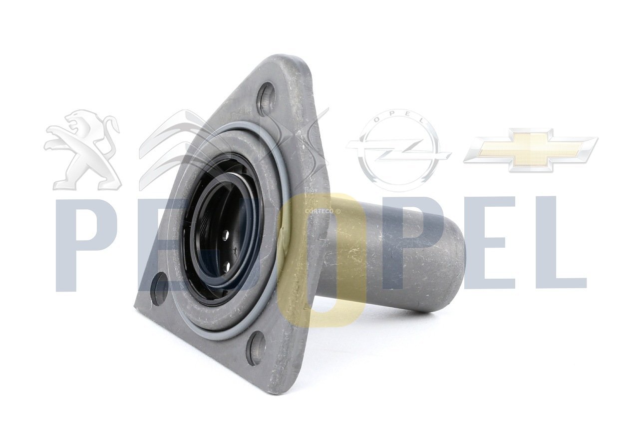 206/307/407/C5/PARTNER 99- B.M PRİZDİREK KLAVUZU