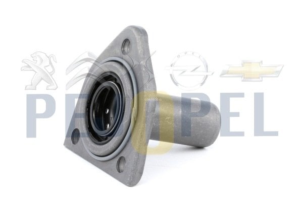206/307/407/C5/PARTNER 99- B.M PRİZDİREK KLAVUZU