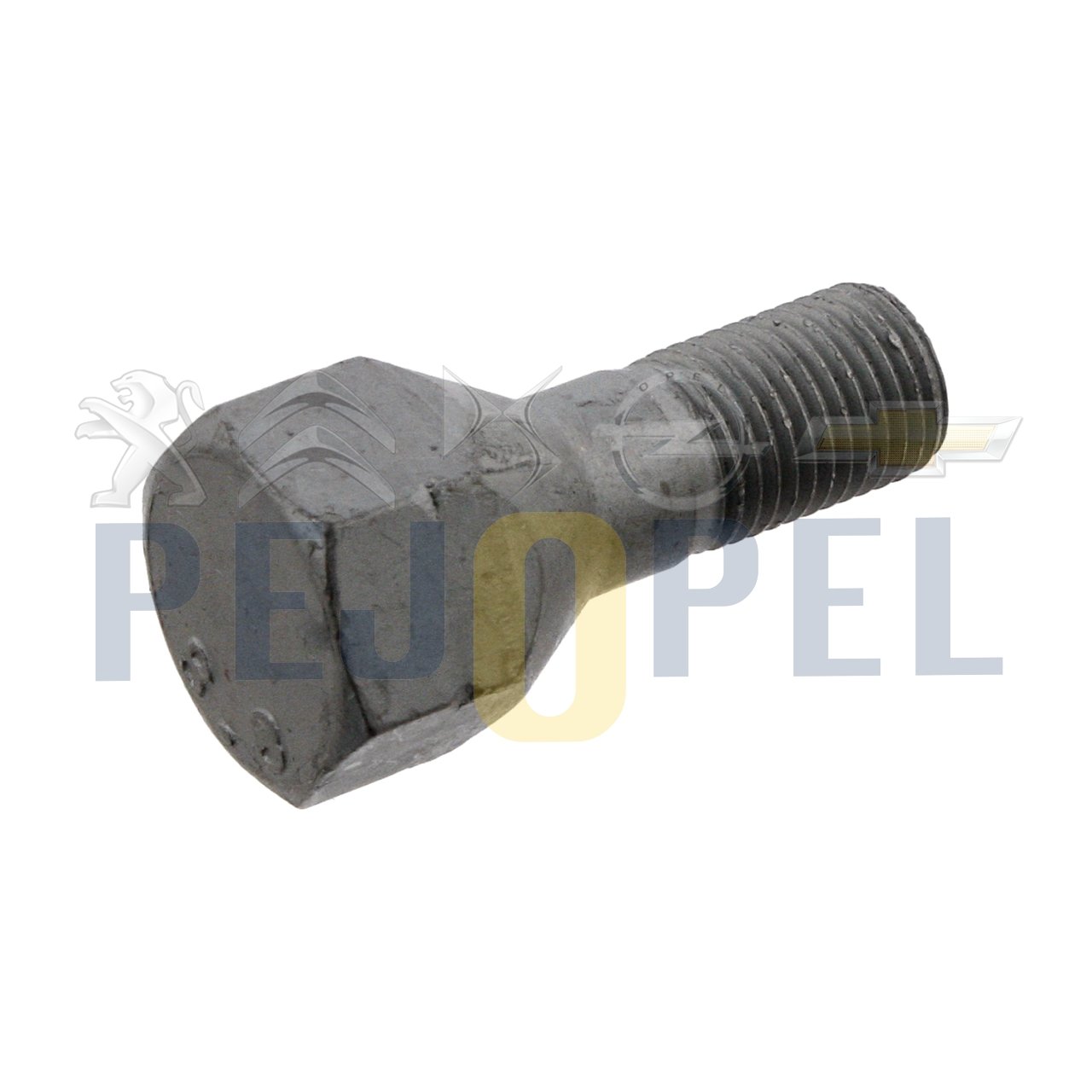 BOXER II 02- B.M BİJON