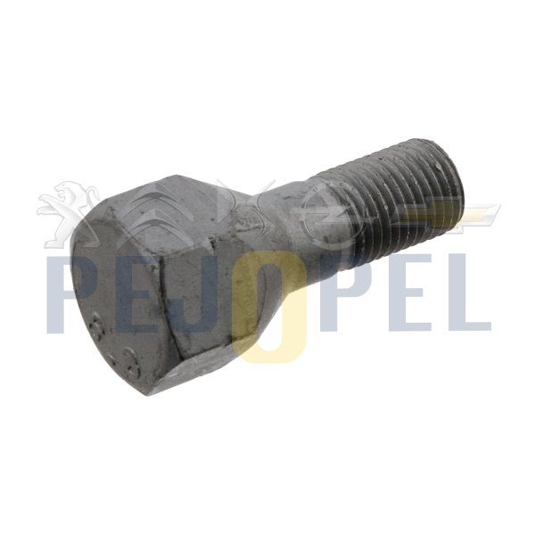 BOXER II 02- B.M BİJON