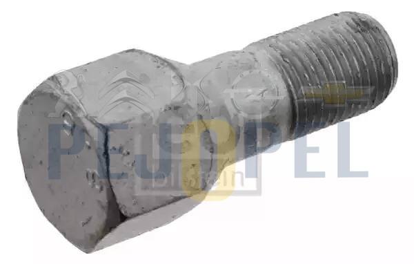 BOXER II 02- B.M BİJON