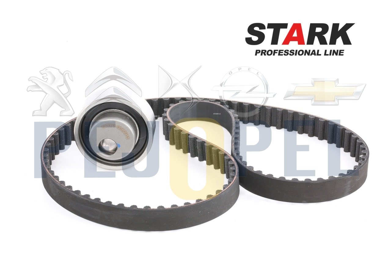 106/206/C2/C3 00- 43466 TRİGER KAYIŞI