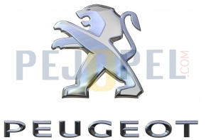 PEUGEOT TEPEE ARKA PEUGEOT YAZI VE ARMA SET