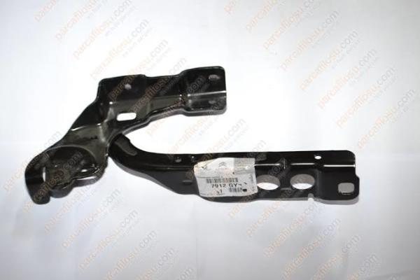 MOTOR KAPUT MENTESESI SAG C4 I (MONTAJ)