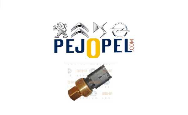 PEUGEOT & CITROEN 207 / 308 / 508 / C3 / C4 / C5 / DS3 / DS5 KLİMA BASINÇ MÜŞÜRÜ ( THP MOTORLAR )
