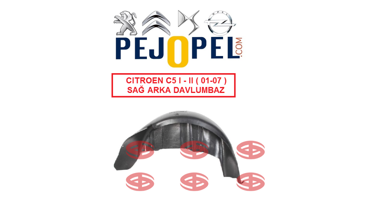Citroen C5 I - II ( 2001 - 2007 ) Sağ Arka Davlumbaz
