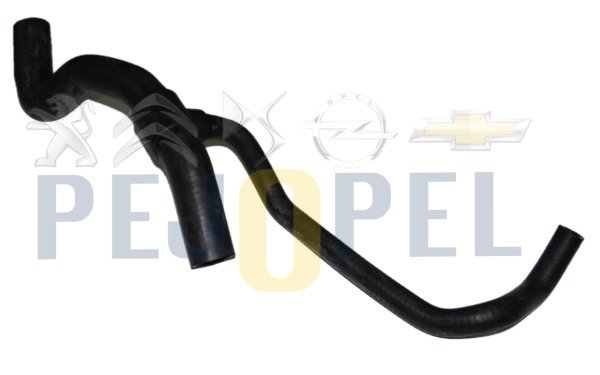 RADYATOR UST HORTUMU P406 1,9TD