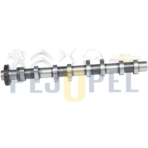 CAPTİVA ANTARA SORENTHO 07- Z20S EKSANTRİK MİLİ