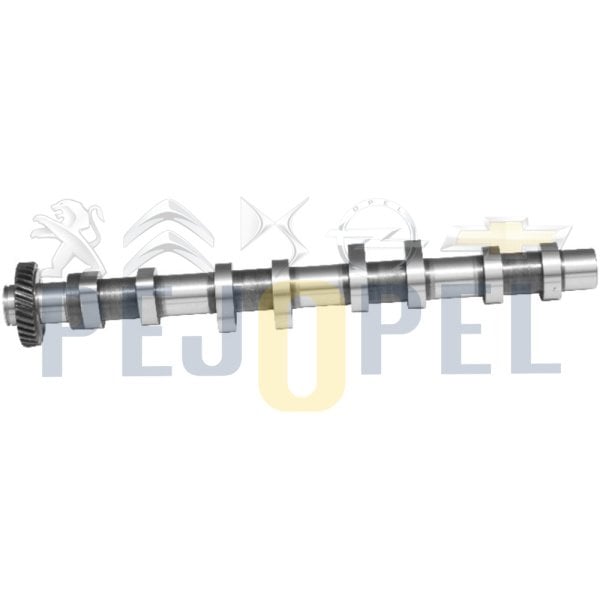 OPEL & CHEVROLET --> ANTARA - CAPTİVA EKSANTİRİK KAM MİLİ -- C100 --