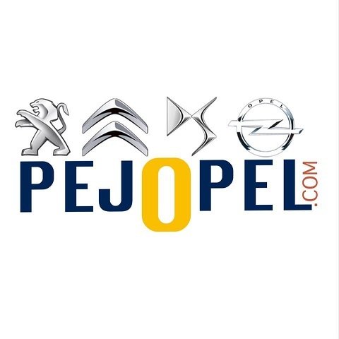 PEUGEOT & CİTROEN 406 / 407 / 607 / C4 / C5 MOTOR VURUNTU SENSÖRÜ 2.0 16V - 3.0 16V ( XU10J4R - ES9A )
