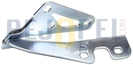 ASTRA H 04- BM KAPUT MENTEŞESİ : R