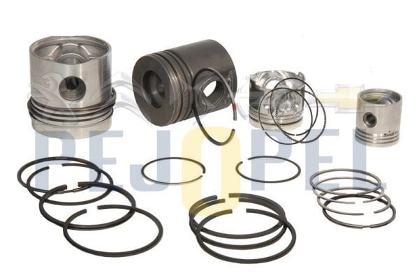MONDEO/07-307 SW/307 CC/308/308 SW 04-12 2.0 TDCI -DW10BTED4 SEGMAN