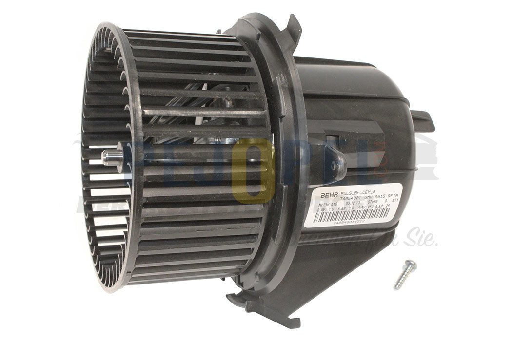 C3 III / DS3 / C4 CACTUS 09- B.M KALORİFER MOTORU