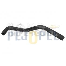 PARTNER -2/BERLINGO-2/EXPERT 01- 1.9 DW8 ÇIKIŞ BORUSU (SOĞUTUCU)