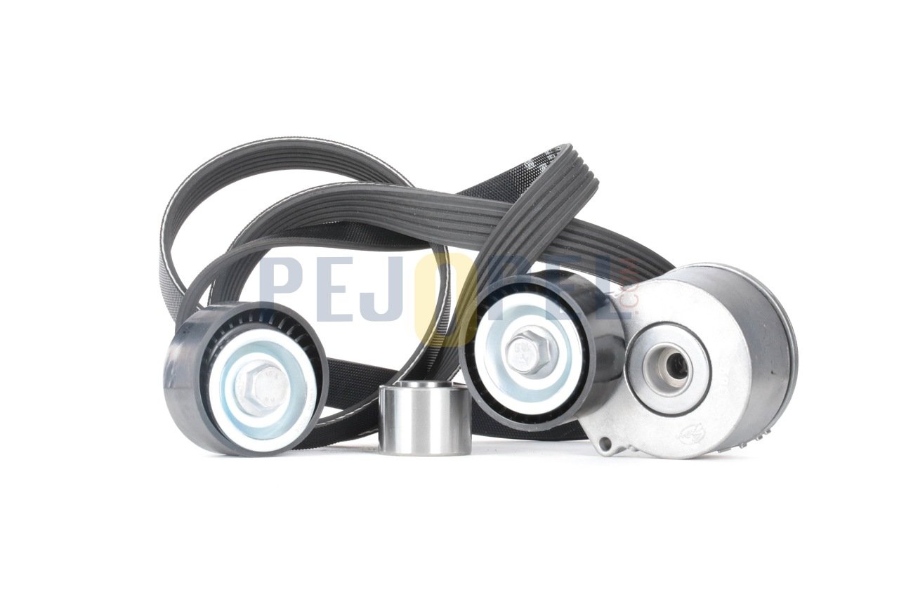 ALTERNATOR RULMAN KITI P206+(T3E) PLUS 1,4 8V/1,6 16V KLIMALI