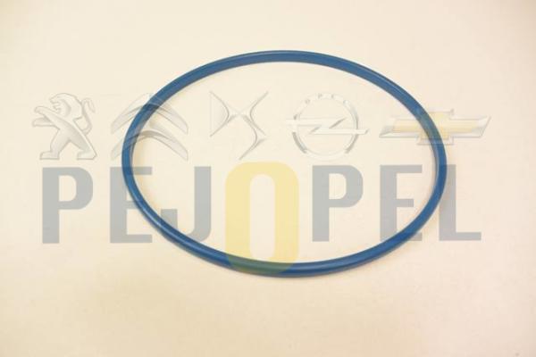 MAZOT POMPA SOMUN CONTA BOXER JUMPER DUCATO 06>
