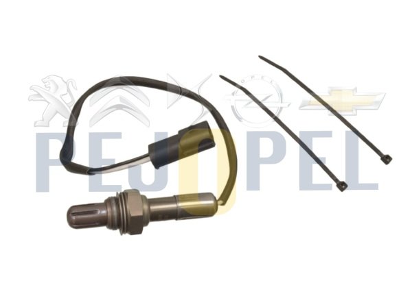 VECTRA B ASTRA F AVEO KALOS OMEGA B MOVANO 93- C18XE-X20XEV-B12D1-F12S3 MOTOR SICAKLIK SENSÖRÜ