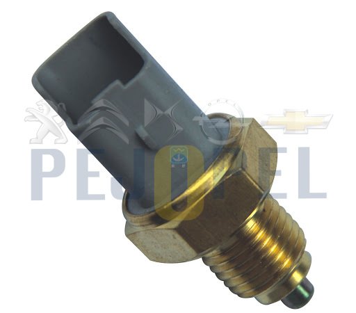 C2/C3/206 01- 1.4 HDI GERİ VİTES MÜŞÜRÜ