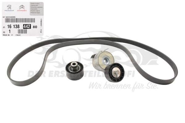 ALTERNATOR RULMAN KITI BERLINGO II-BERLINGO III-PARTNER II-PARTNER TEPE-C5(X7)-JUMPY III-NEMO-SCUDO