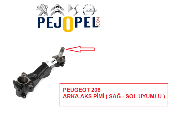 -- PEUGEOT 206 -- ARKA TORSİYON DİNGİL AKS PİMİ ( SAĞ - SOL UYUMLU )