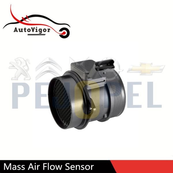 C5 02- 2.0/2.2 HDI HAVA DEBİMETRESİ