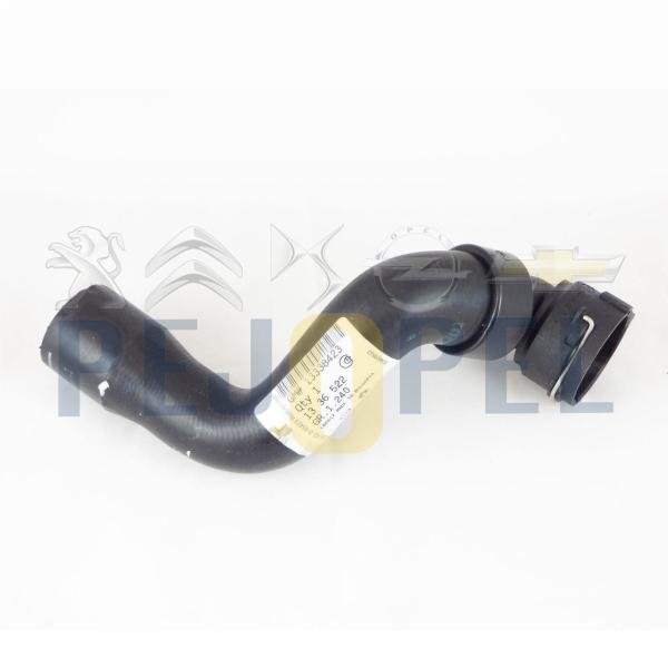ASTRA J ZAFİRA C 10- A16XER B16XER A18XEL RADYATÖR HORTUMU ALT