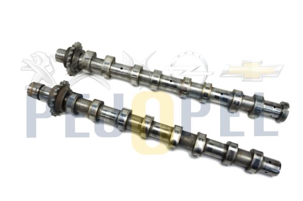 307/308PARTNER/FOCUS 04- 1.6 HDİ/TDCİ EKSANTRİK MİLİ