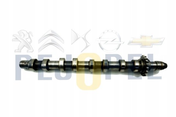 307/308PARTNER/FOCUS 04- 1.6 HDİ/TDCİ EKSANTRİK MİLİ